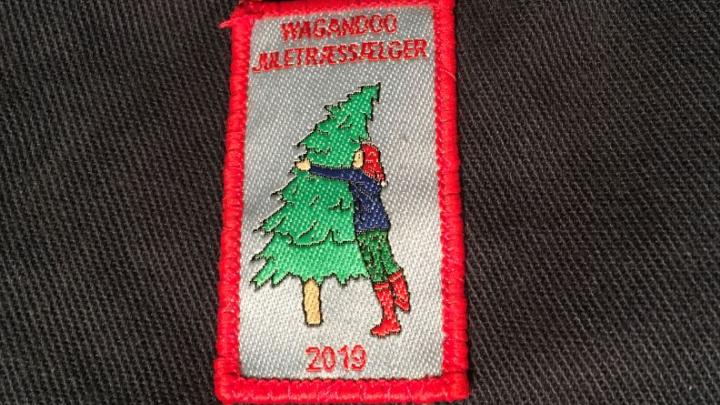Spejder der krammer et juletræ på salgsmærket for juletræsvagter