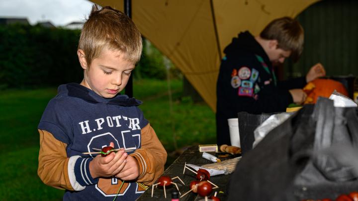 Familiespejder med kastanjedyr