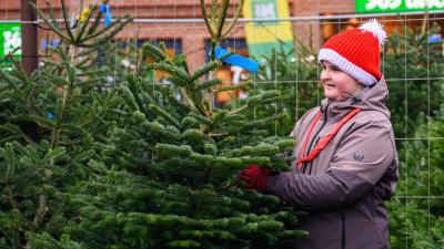 Spejder der står med et juletræ til juletræssalg
